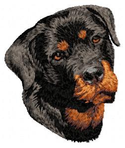 Rottweiler - DD83