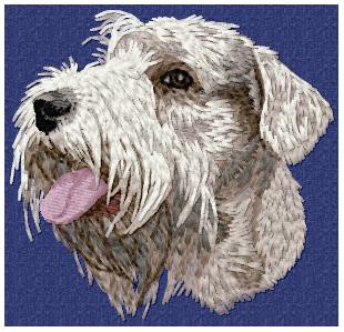 Sealyham Terrier - DD87