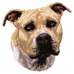 Staffordshire Bull Terrier - DD91