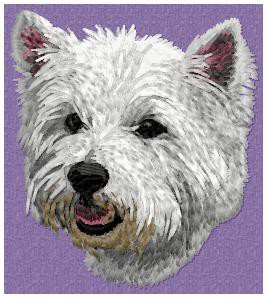 West Highland White Terrier - DD92