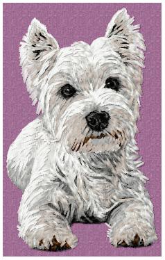 West Highland White Terrier - DD95