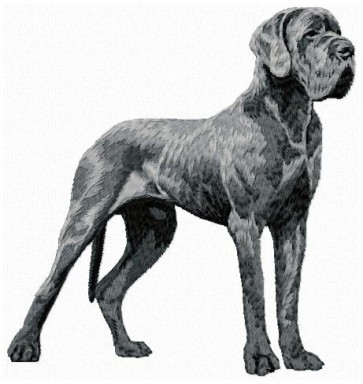 Great Dane - Large DD140