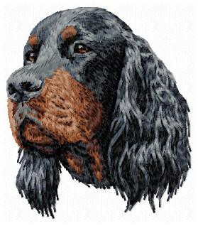 Gordon Setter - DD146