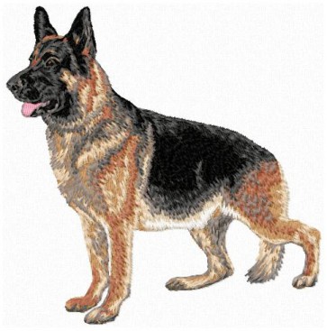 German Shepherd - Large DD149