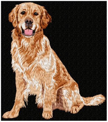 Golden Retriever - LargeDD183