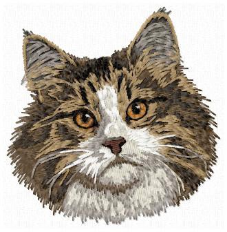 Norwegian Forest Cat -CD8