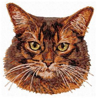 Abyssinian Cat - CD5