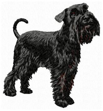 Miniature Schnauzer - DD108