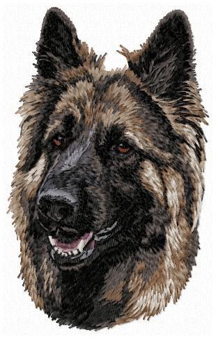 German Shepherd - LargeDD105