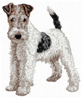 Fox Terrier - DD103