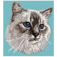 Birman Cat - CD12