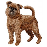 Brussels Griffon - DD116