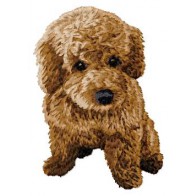Poodle Toy - DD124