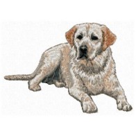 Labrador Retriever - DD131