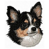 CHihuahua - DD139
