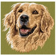 Golden Retriever -DD178