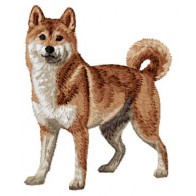 Shiba Inu - DD219