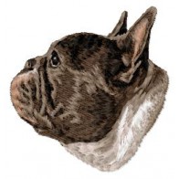French Bulldog - DD226
