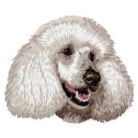 Poodle - DD227