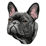 French Bulldog - DD40