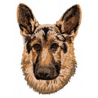 German Shepherd - DD42