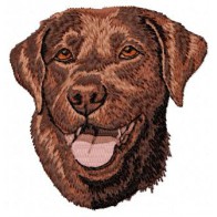 Labrador Retriever - DD59