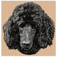 Poodle - DD77
