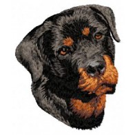 Rottweiler - DD83