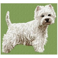 West Highland White Terrier - DD93