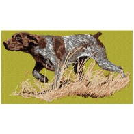 German Shorthaired Pointer - LargeDD182