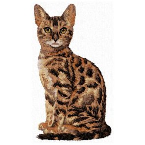 Bengal Cat - CD11