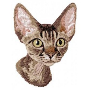 Devon Rex - CD14