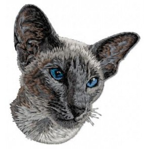 Siamese Cat - CD4