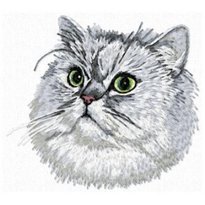 Persian Cat - CD6