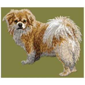 Tibetan Spaniel - DD112