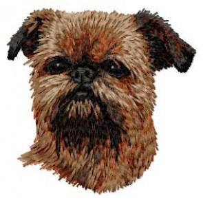 Brussels Griffon - DD115