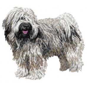 Tibetan Terrier - DD117