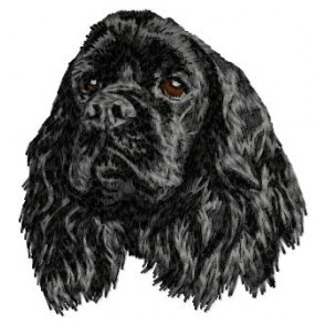 American Cocker Spaniel - DD119