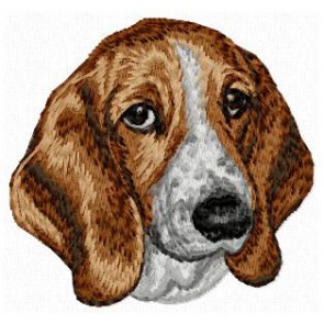 Basset Hound - DD133