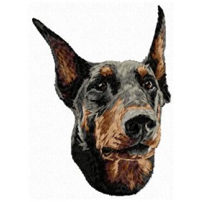 Dobermann - DD137