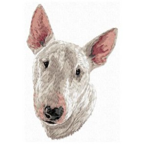 Bull Terrier - DD152