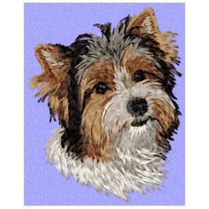 Yorkshire Terrier (Parti) - DD163