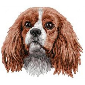 Cavalier King Charles Spaniel - DD170