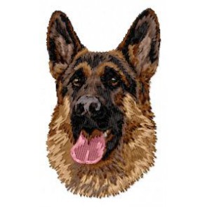 German  Shepherd - DD173