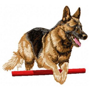 German Shepherd - DD184