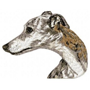 Whippet - DD189