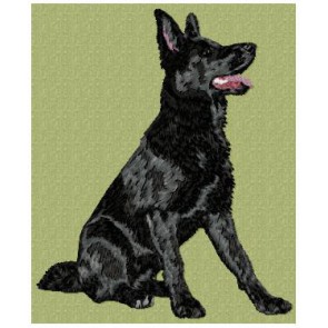 German Shepherd -  DD191