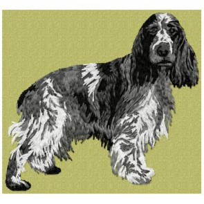 English Cocker Spaniel - DD192