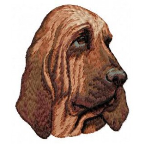 Bloodhound - DD193