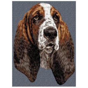 Basset Hound -  DD198